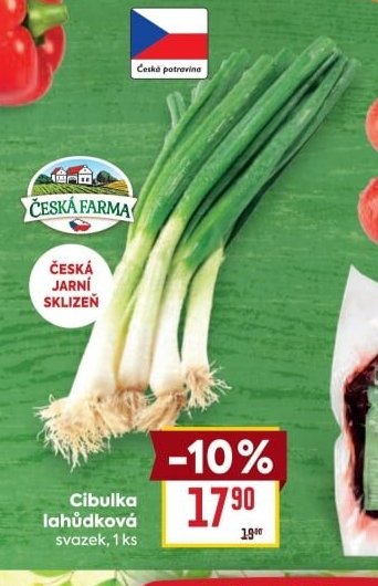 Cibulka lahůdková