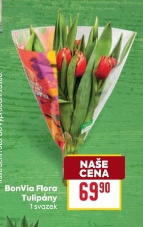 BonVia Flora Tulipány