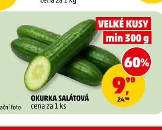 Okurka salátová