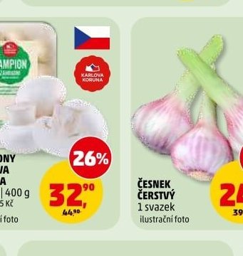 ŽAMPIONY KARLOVA KORUNA