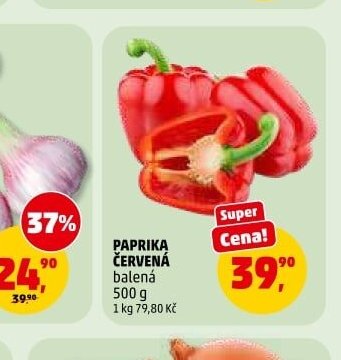 ČESNEK ČERSTVÝ