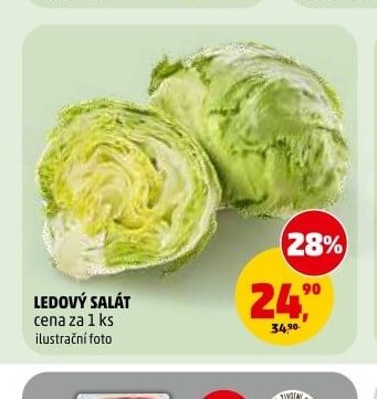 LEDOVÝ SALÁT