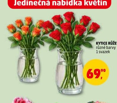 Kytice růže