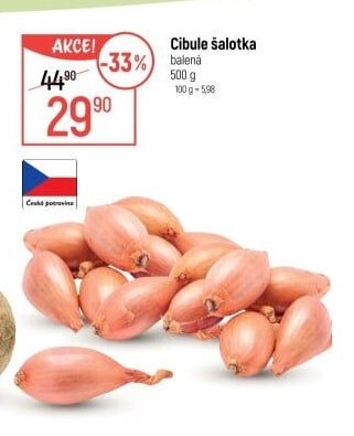 Cibule šalotka