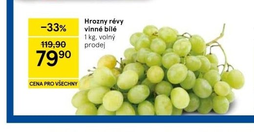 Hrozny révy vinné bílé
