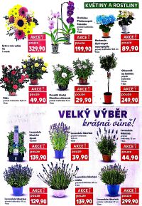 aktuální leták Kaufland 3.6.2026-9.6.2026
