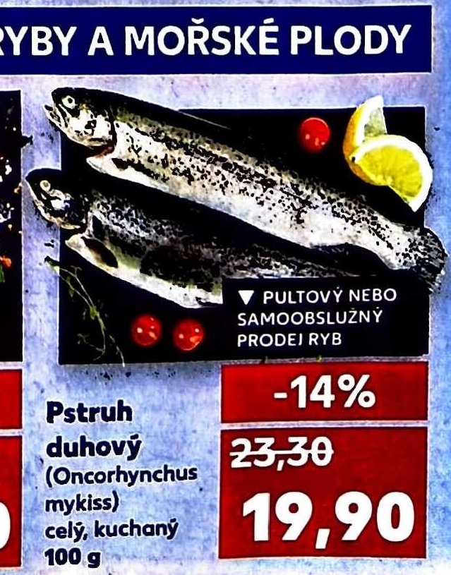 Pstruh duhový (Oncorhynchus mykiss)