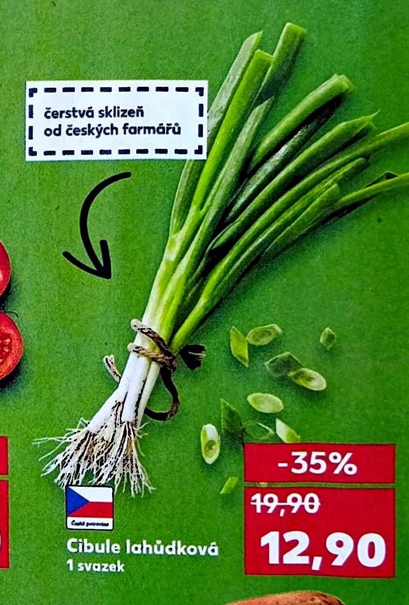 Cibule lahůdková