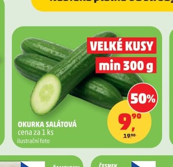 Okurka salátová
