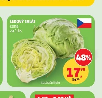 Ledový salát