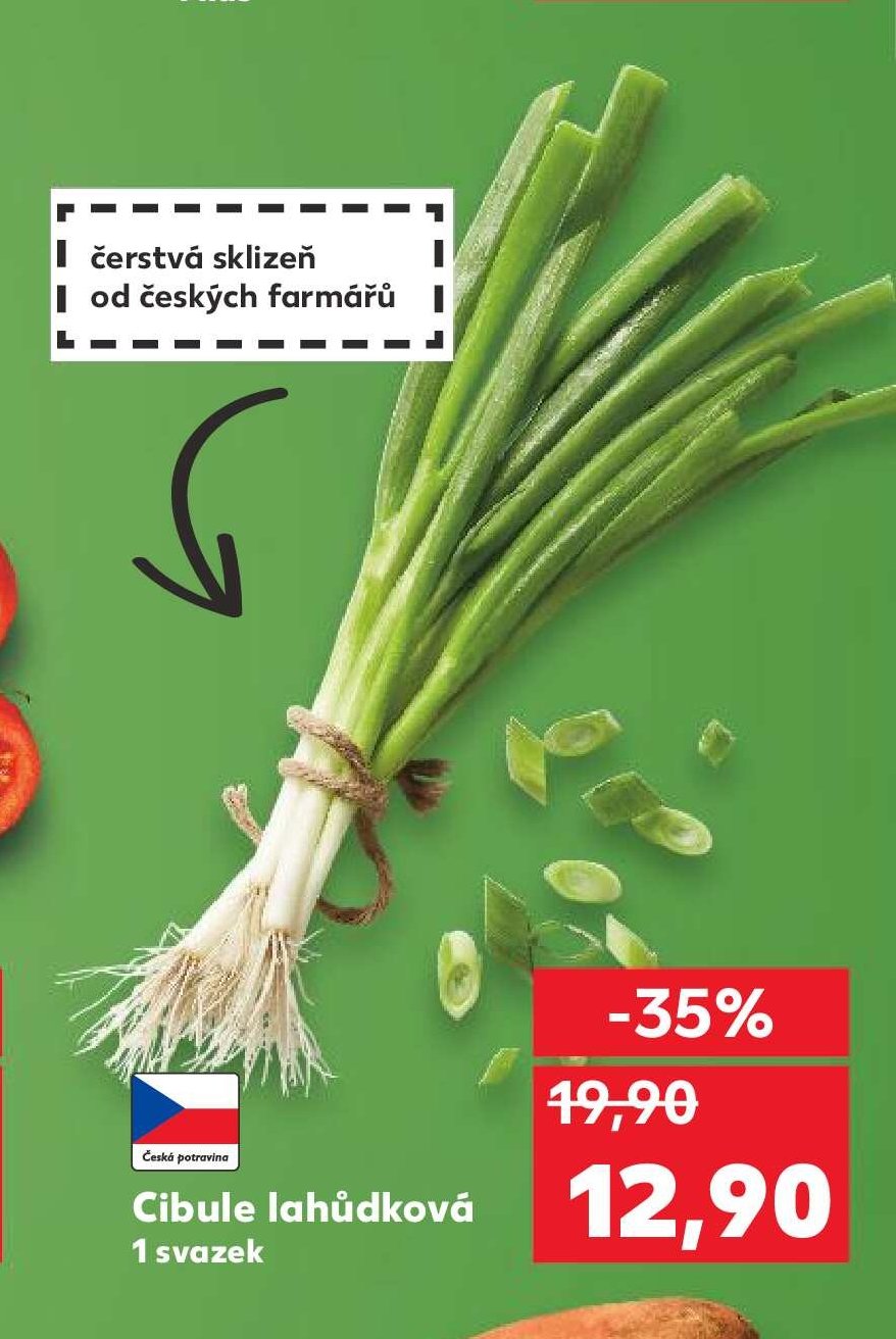 Cibule lahůdková