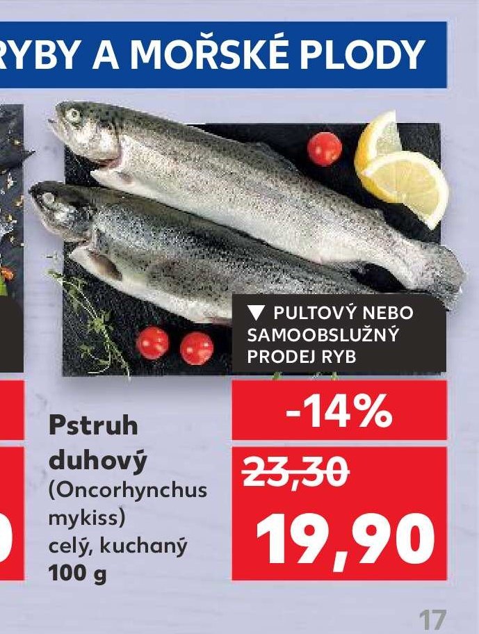 Pstruh duhový