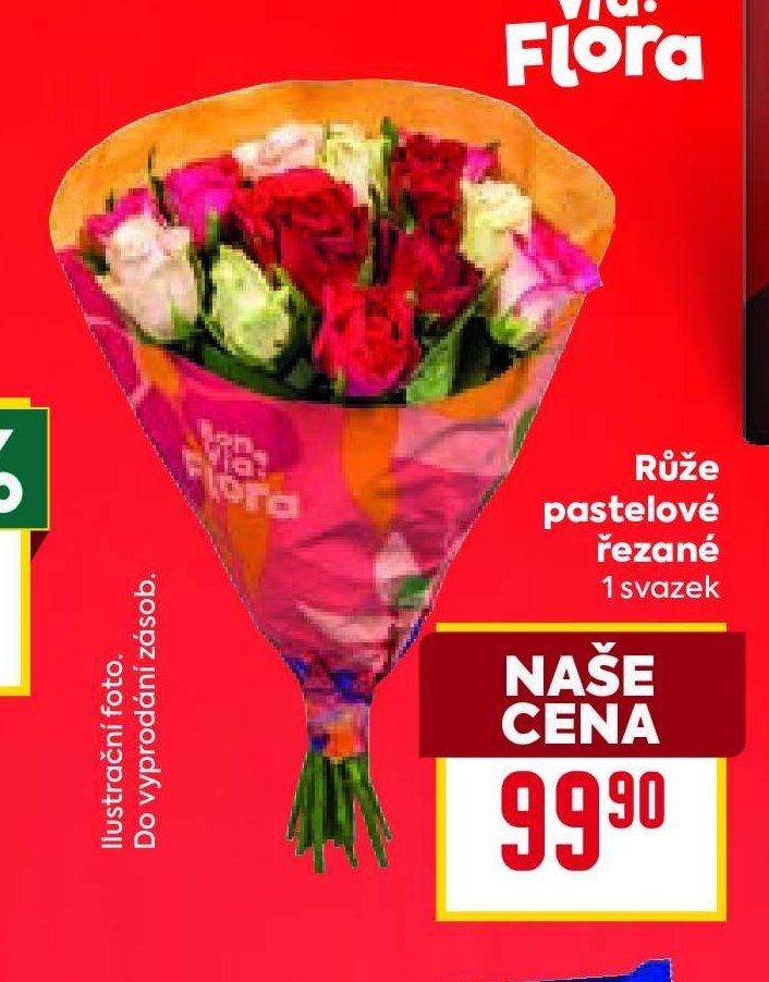 Růže pastelové řezané 1 svazek