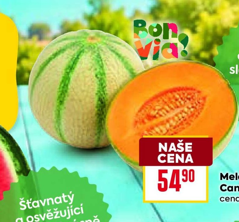 Meloun Cantaloupe