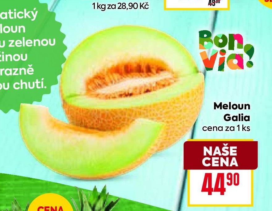 Meloun Galia