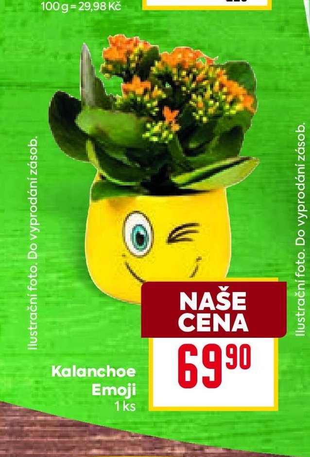 Kalanchoe Emoji