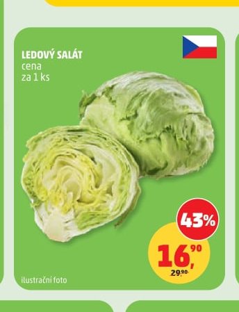 Ledový salát