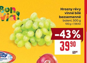 Hrozny révy vinné bílé bezsemenné