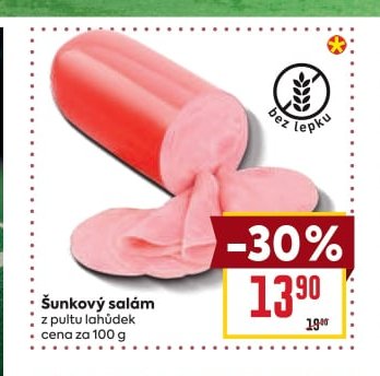 Šunkový salám