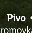 Pivo