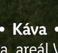 Káva