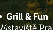 Grill & Fun