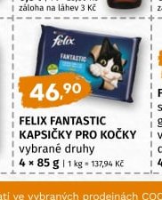 Felix Fantastic kapsičky pro kočky vybrané druhy