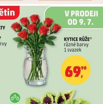 KYTICE RŮŽE