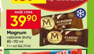 Magnum vybrané druhy 85-110 ml