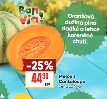 Meloun Cantaloupe