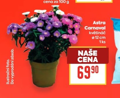 Astra Carnaval