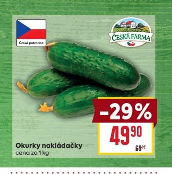 Okurky nakládačky