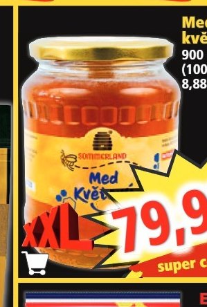 Med květový