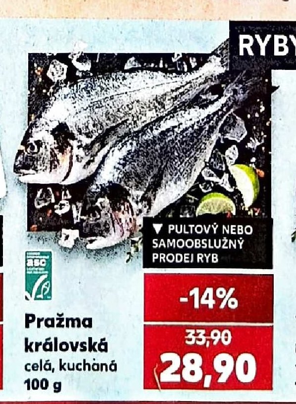 Pražma královská celá