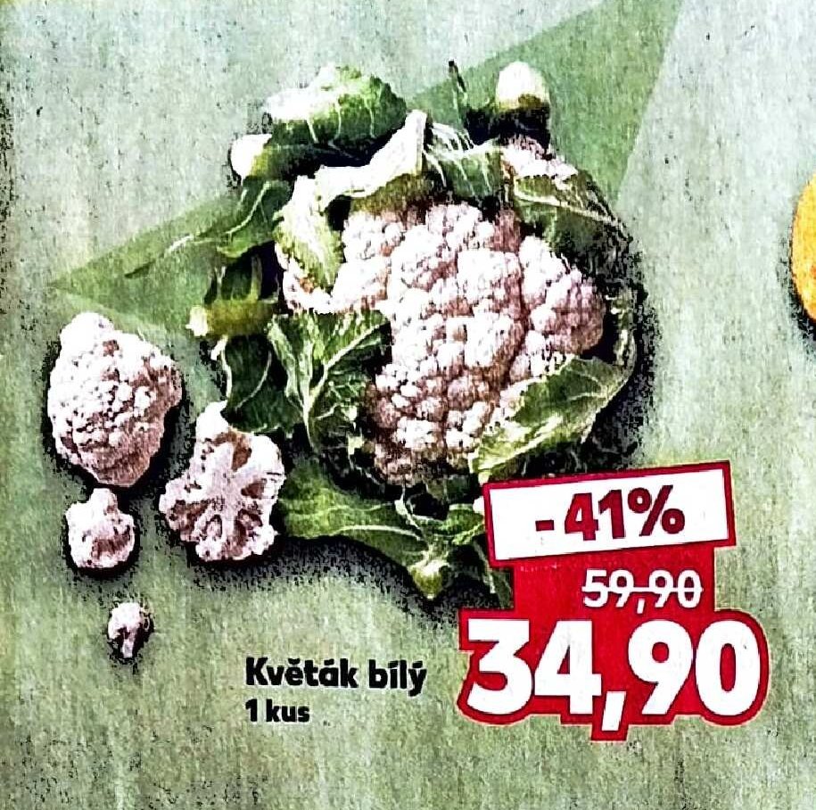Květák bílý
