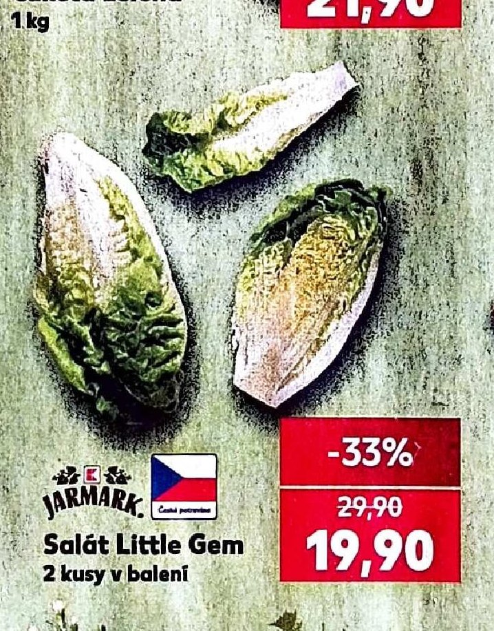 Salát Little Gem