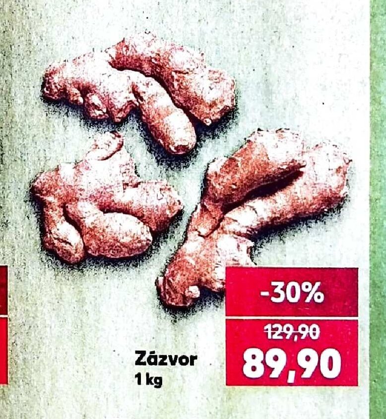 Zázvor