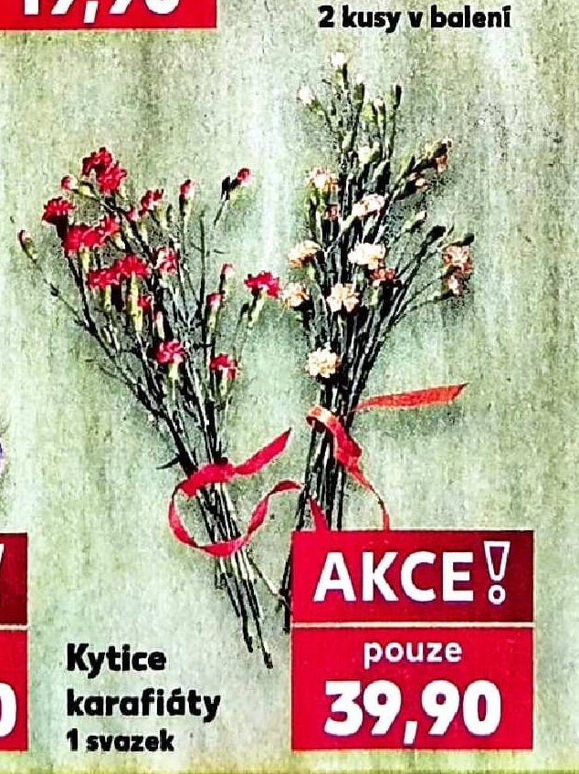 Kytice karafiáty