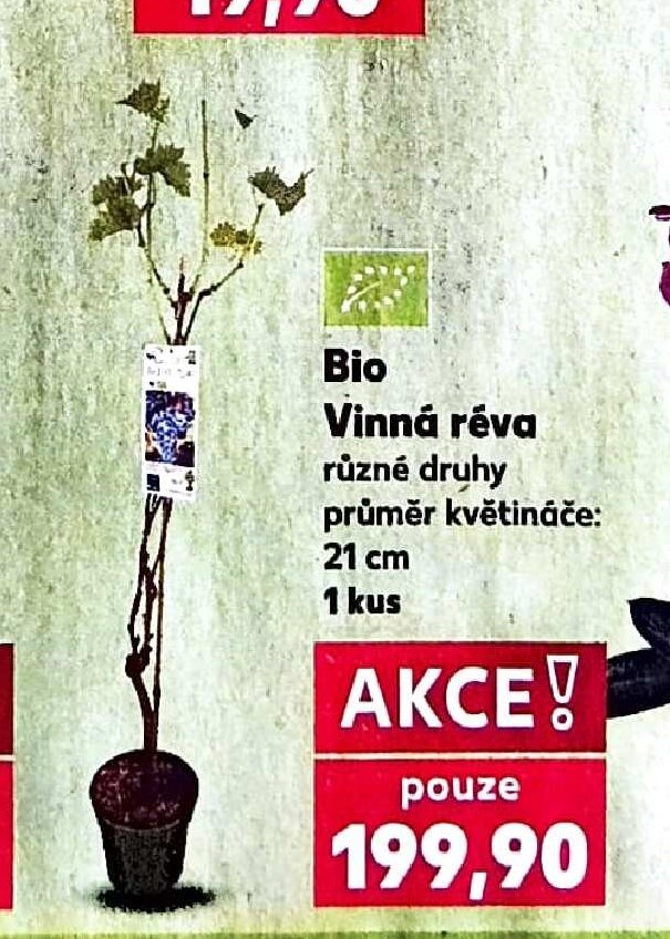 Bio Vinná réva