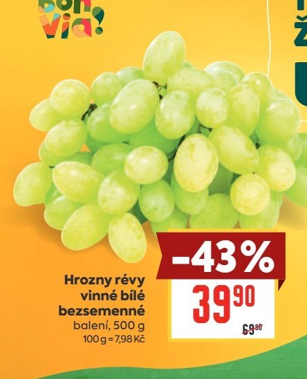 Hrozny révy vinné bílé bezsemenné