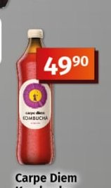 Carpe Diem Kombucha