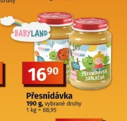 Přesnídávka