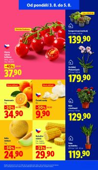 aktuální leták Lidl 3.8.2026-5.8.2026