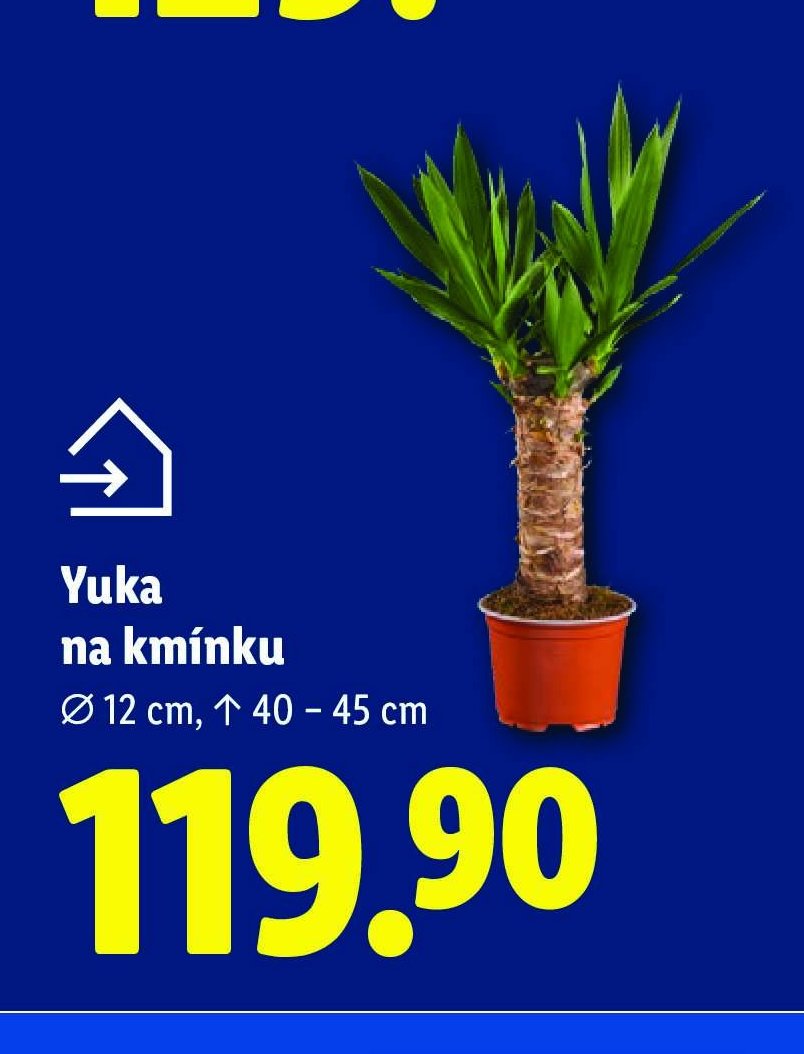 Yuka na kmínku