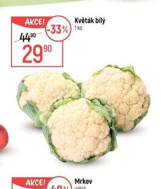 Květák bílý