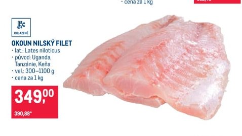 Okoun nilský filet