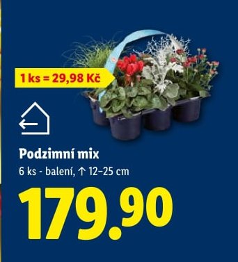 Podzimní mix