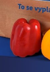 Červená paprika