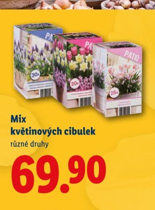 Mix květinových cibulek