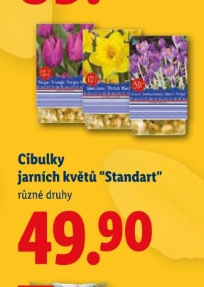 Cibulky jarních květů 